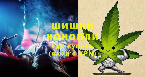 дживик Баксан